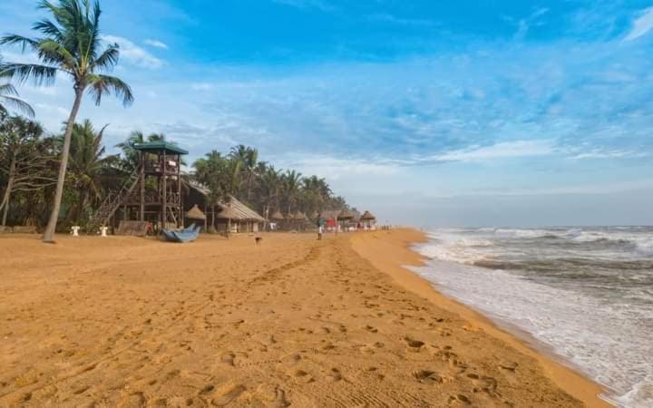 Green Bloom Dehiwala-Mount Lavinia Bagian luar foto